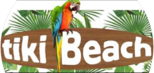 tikibeachstudios.com